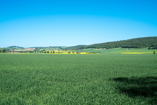 Zdjęcie sceniczny widok pola rolniczego na jasnym niebie