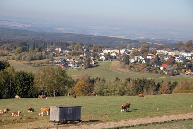 Sceniczny widok pola rolniczego na tle nieba