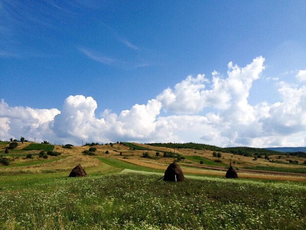 Zdjęcie sceniczny widok pola rolniczego na tle nieba