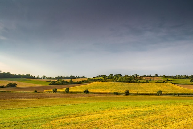 Sceniczny widok pola rolniczego na tle nieba
