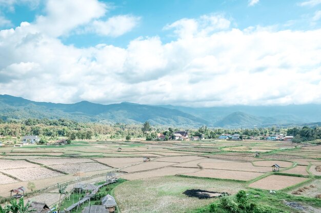 Sceniczny widok pola rolniczego na tle nieba