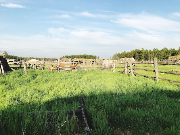 Sceniczny widok pola rolniczego na tle nieba