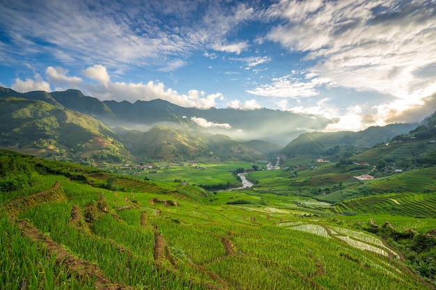 Sceniczny widok pola rolniczego na tle nieba
