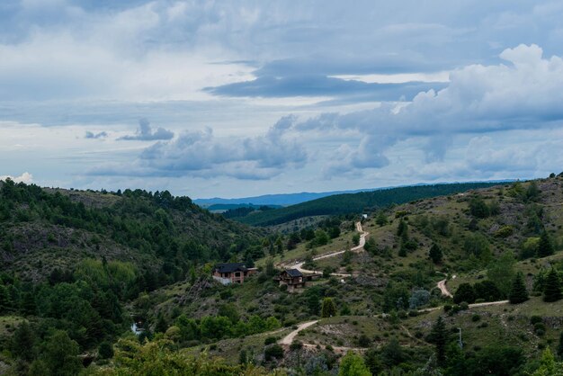 Sceniczny widok pola rolniczego na tle nieba