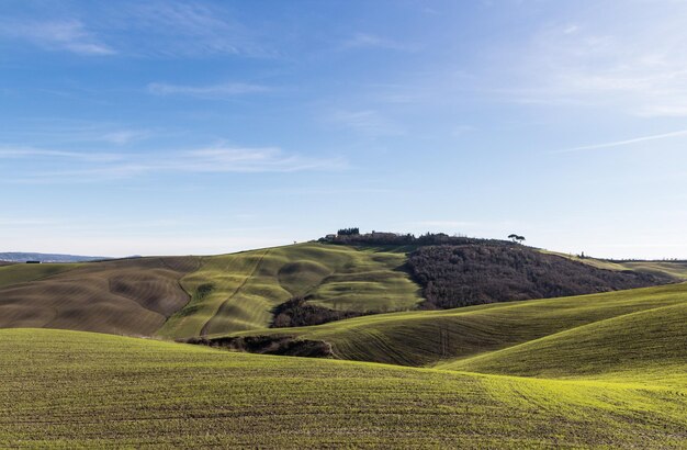 Sceniczny widok pola rolniczego na tle nieba