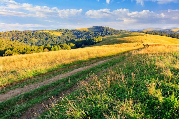 Zdjęcie sceniczny widok pola rolniczego na tle nieba