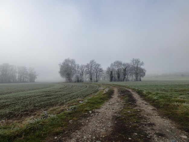 Zdjęcie sceniczny widok pola rolniczego na tle nieba