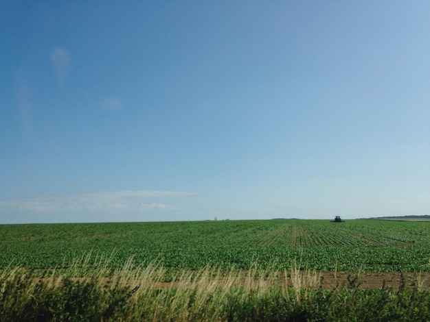 Sceniczny widok pola rolniczego na tle nieba