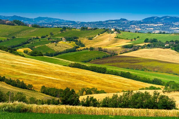 Zdjęcie sceniczny widok pola rolniczego na tle nieba