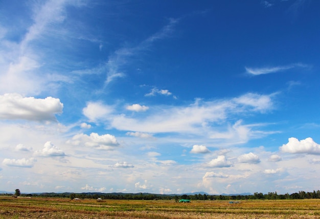 Sceniczny widok pola rolniczego na tle nieba