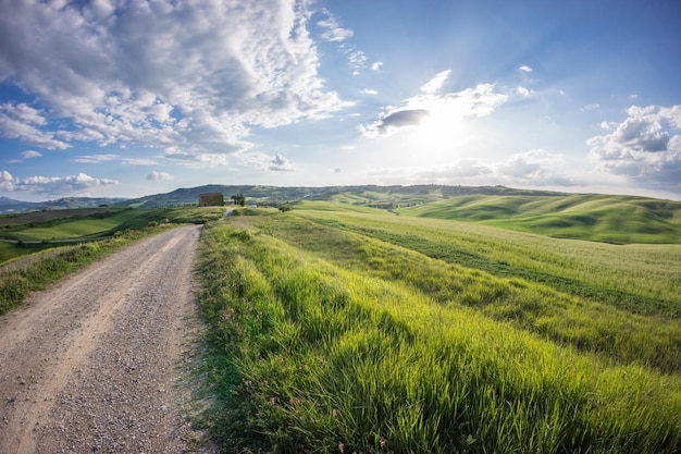 Sceniczny widok pola rolniczego na tle nieba