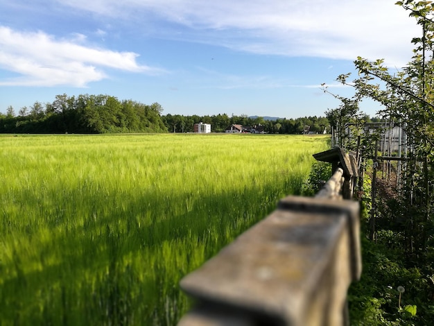 Zdjęcie sceniczny widok pola rolniczego na tle nieba