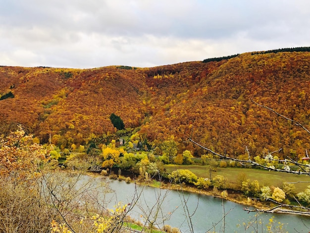 Zdjęcie sceniczny widok rzeki na tle nieba jesienią