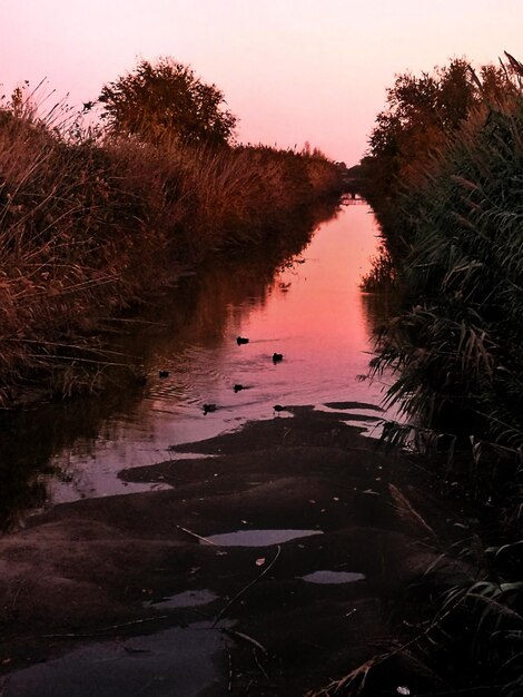 Zdjęcie sceniczny widok rzeki na tle nieba przy zachodzie słońca