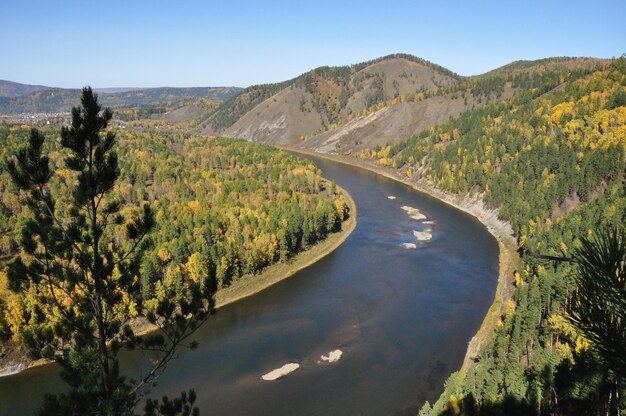 Sceniczny Widok Rzeki Pośród Drzew Na Tle Nieba