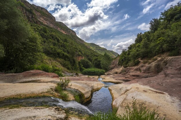 Zdjęcie sceniczny widok rzeki pośród drzew na tle nieba