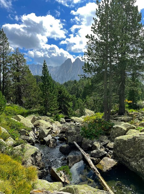 Zdjęcie sceniczny widok rzeki pośród drzew na tle nieba