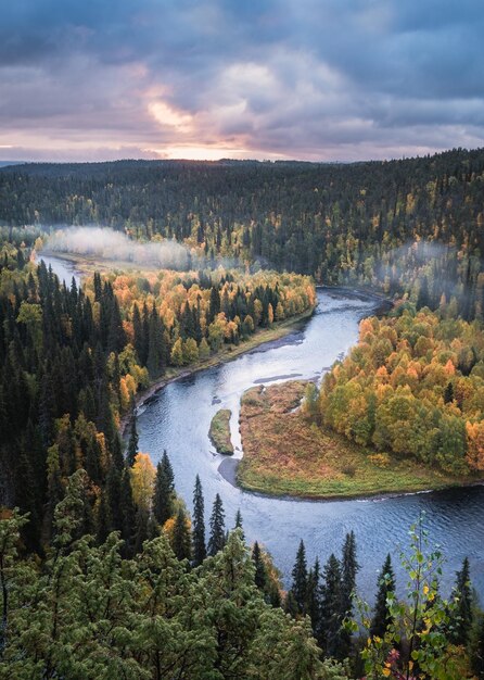 Sceniczny widok rzeki pośród drzew na tle nieba