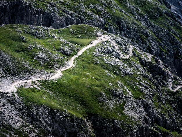 Zdjęcie sceniczny widok rzeki pośród drzew