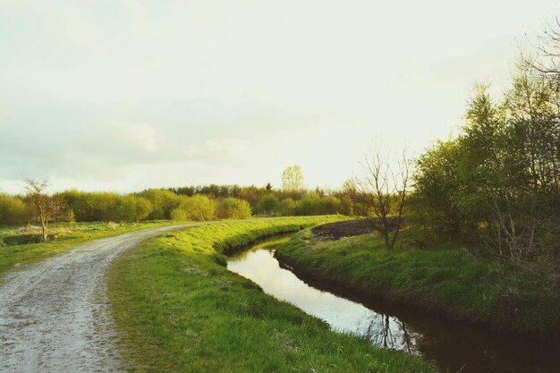 Zdjęcie sceniczny widok rzeki pośród pola na tle nieba