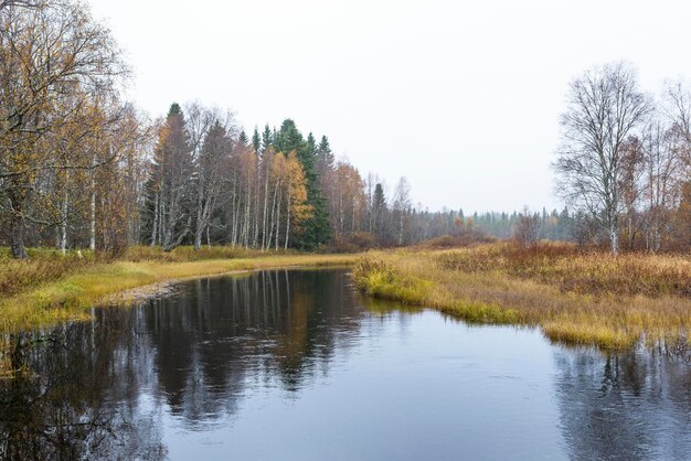 Zdjęcie sceniczny widok rzeki w kolorach jesieni