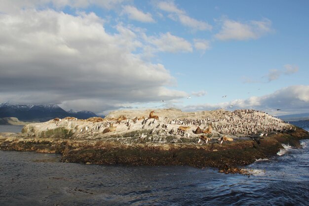 Zdjęcie sceniczny widok skał z morza na tle nieba