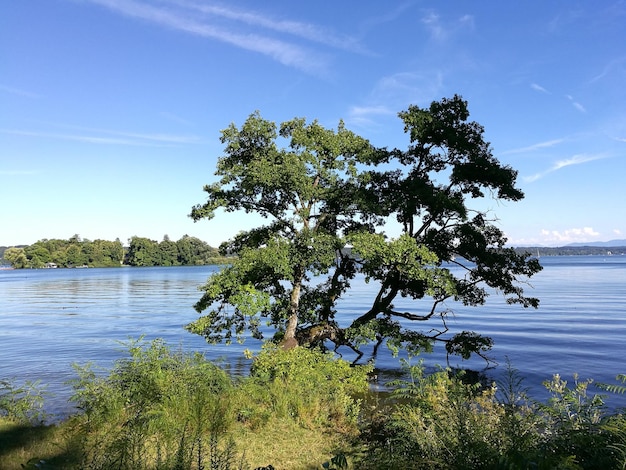 Zdjęcie sceniczny widok spokojnego jeziora na tle niebieskiego nieba