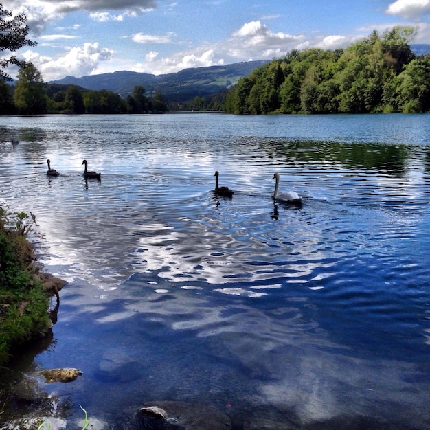 Zdjęcie sceniczny widok spokojnego jeziora