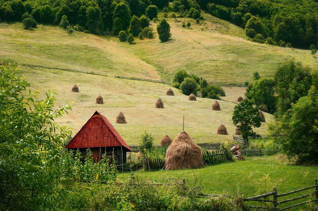 Zdjęcie sceniczny widok stodoły i pola rolniczego w górach