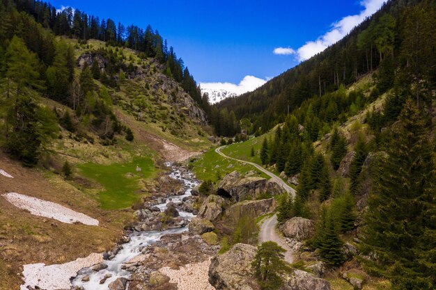 Sceniczny widok strumienia pośród drzew i gór na tle nieba