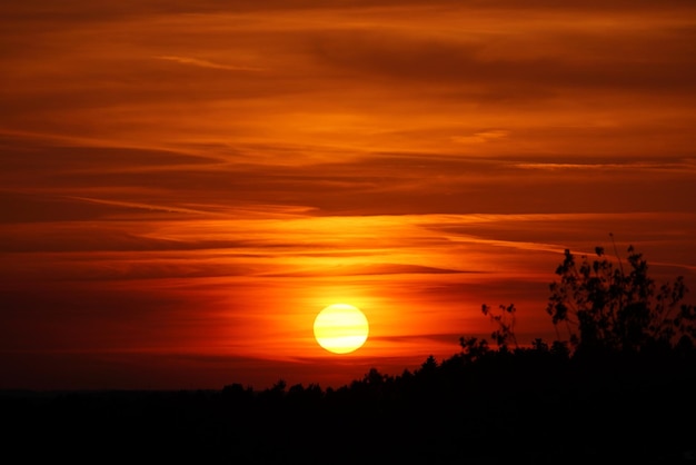 Sceniczny Widok Sylwetkowego Krajobrazu Na Tle Romantycznego Nieba Przy Zachodzie Słońca