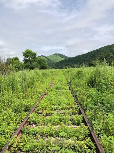 Sceniczny widok torów kolejowych na polu na tle nieba