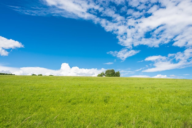 Sceniczny widok trawiastego krajobrazu na tle nieba