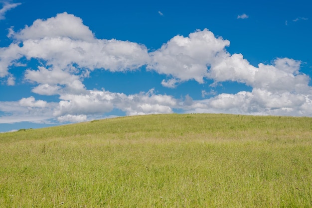Sceniczny widok trawiastego krajobrazu na tle nieba