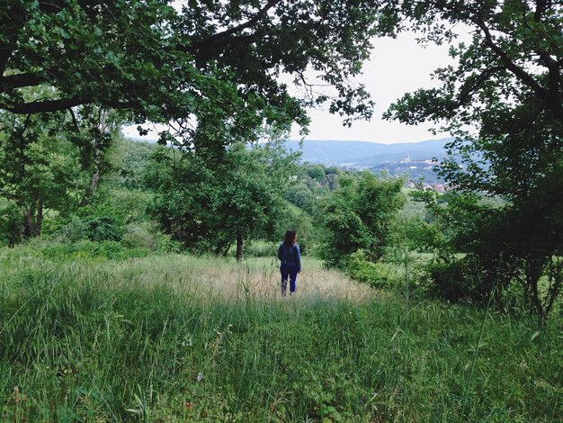 Sceniczny widok trawiastego krajobrazu