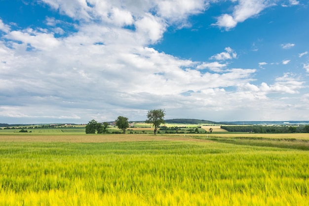 Sceniczny widok trawiastego pola na chmurnym niebie