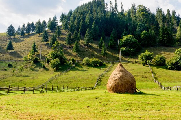 Zdjęcie sceniczny widok trawiastego pola na chmurnym niebie