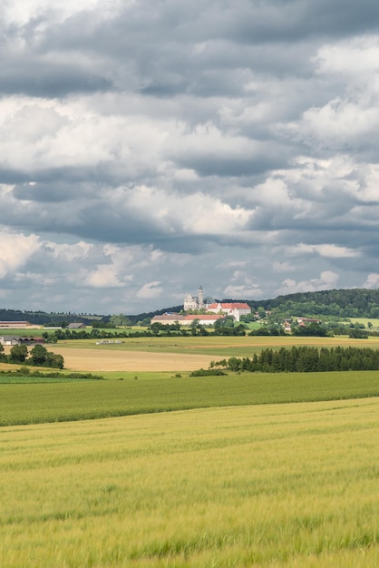 Sceniczny widok trawiastego pola na chmurnym niebie