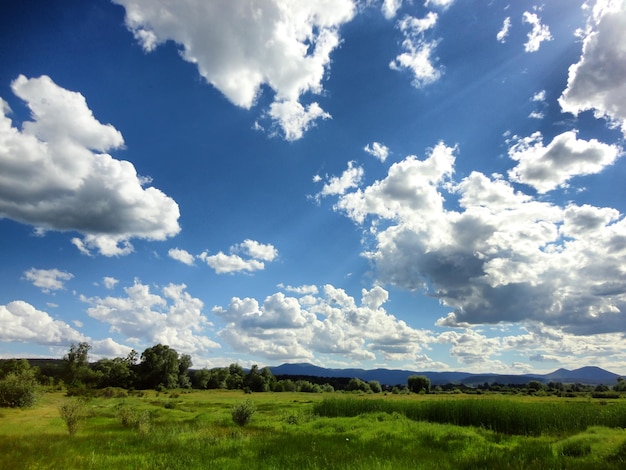 Zdjęcie sceniczny widok trawiastego pola na chmurnym niebie