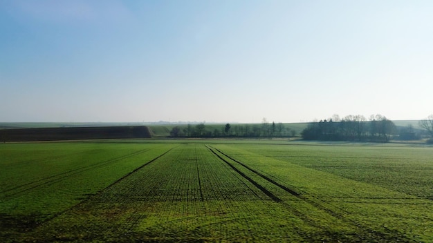 Sceniczny widok trawiastego pola na jasnym niebie