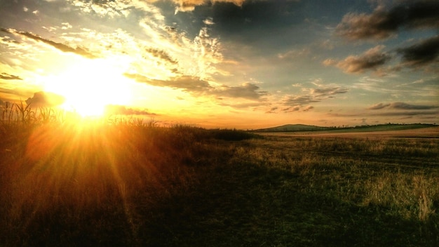 Zdjęcie sceniczny widok trawiastego pola na tle nieba podczas zachodu słońca