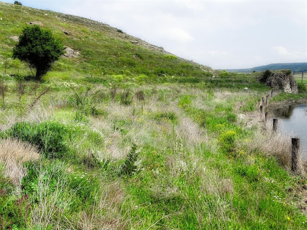 Zdjęcie sceniczny widok trawiastego pola na tle nieba