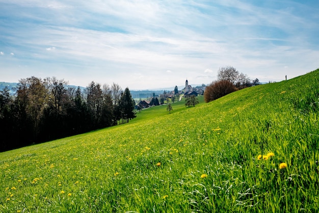 Sceniczny widok trawiastego pola na tle nieba