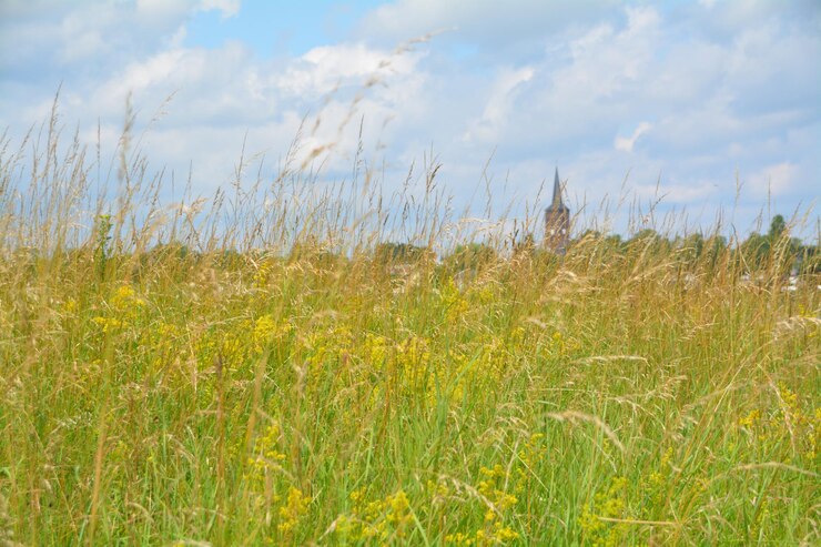 Zdjęcie sceniczny widok trawiastego pola na tle nieba