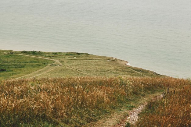 Sceniczny widok trawiastego pola na tle niebieskiego nieba