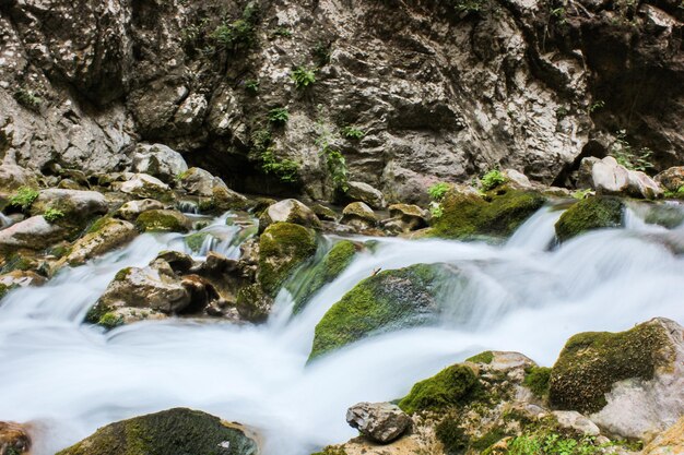 Zdjęcie sceniczny widok wodospadu w lesie.