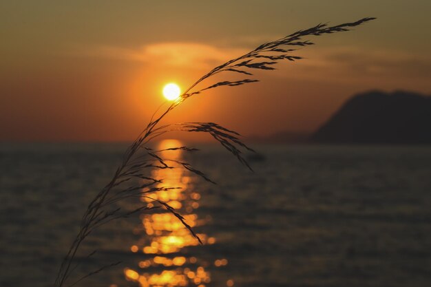 Zdjęcie sceniczny widok zachodu słońca nad morzem