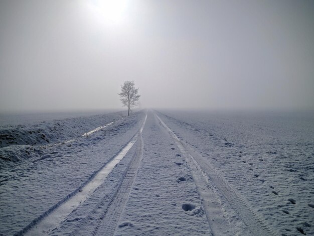 Zdjęcie sceniczny widok zamarzniętego krajobrazu na jasnym niebie