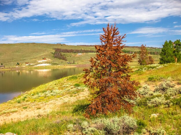 Zdjęcie sceniczny widok zielonego krajobrazu na chmurnym niebie