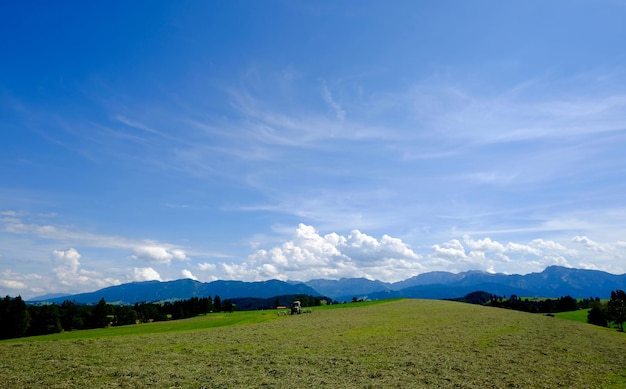 Sceniczny widok zielonego krajobrazu na tle nieba